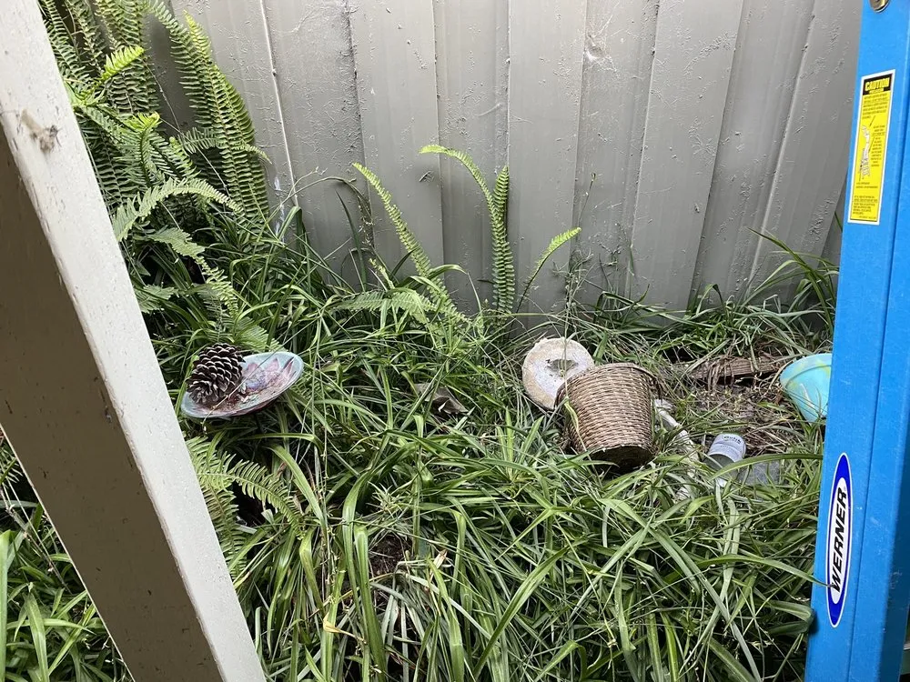 Professional outdoor landscaping near you in Watsonville, CA by Gonzales Landscaping