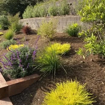 Affordable yard maintenance in Redwood City, CA by Gonzales Paint And Lascape