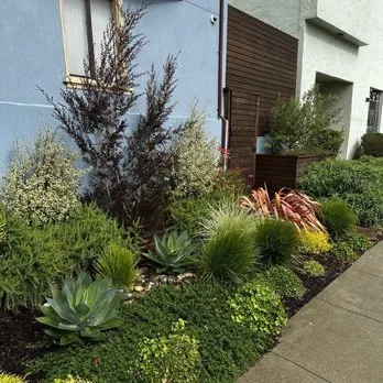 Expert landscape installation in Redwood City, CA by Gonzales Paint And Lascape