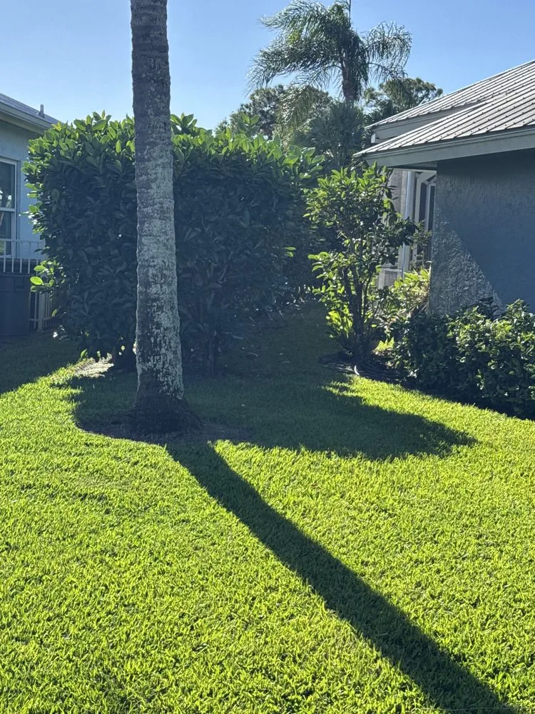 Expert landscape installation experts serving Palm City, FL - Gonzalez & Perez Landscaping