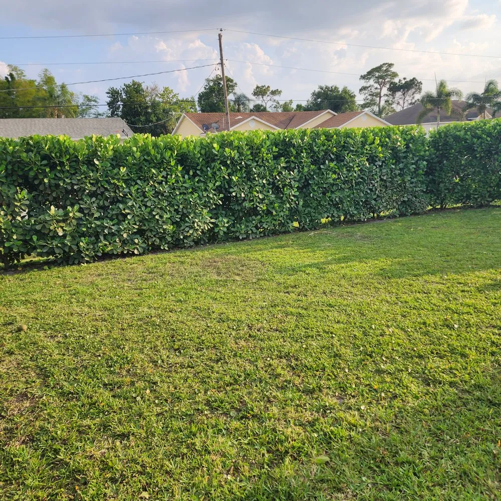 Professional lawn care service for outdoor upgrades across Palm City, FL - Gonzalez & Perez Landscaping
