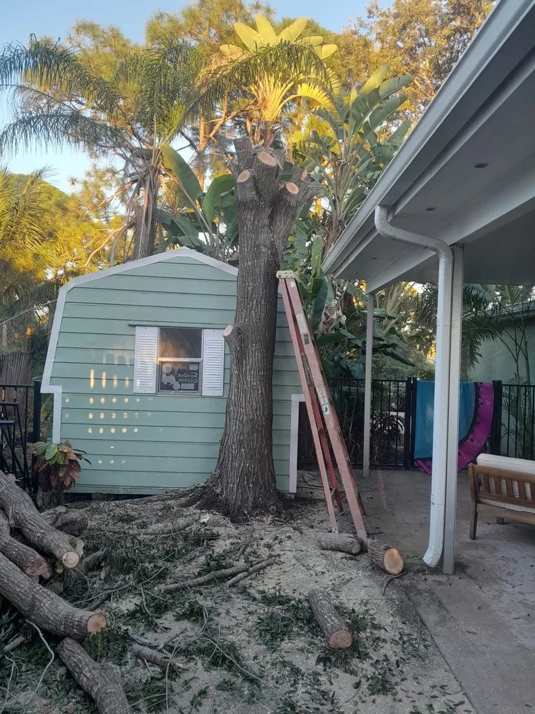 Professional landscape design in Palm City, FL by Gonzalez & Perez Landscaping