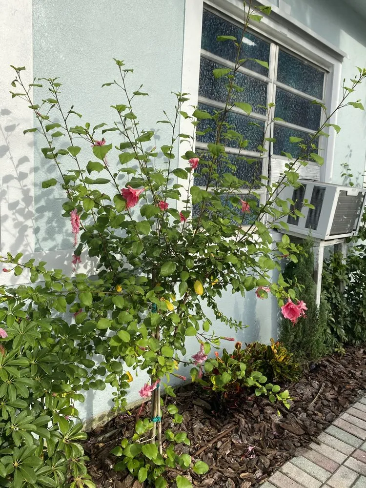 Trusted garden landscaping with custom design in Palm City, FL by Gonzalez & Perez Landscaping