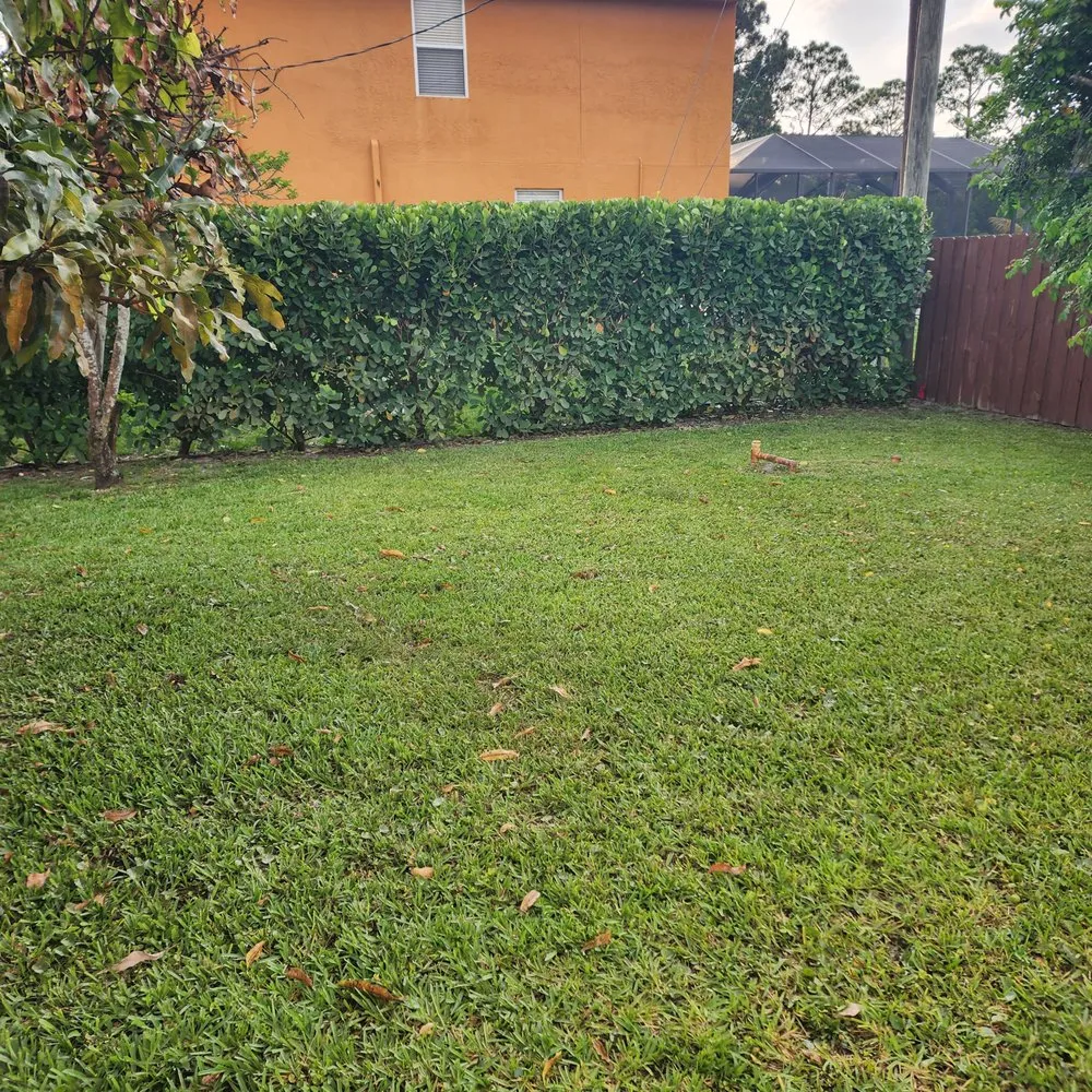 Custom yard maintenance for year-round maintenance in Palm City, FL by Gonzalez & Perez Landscaping