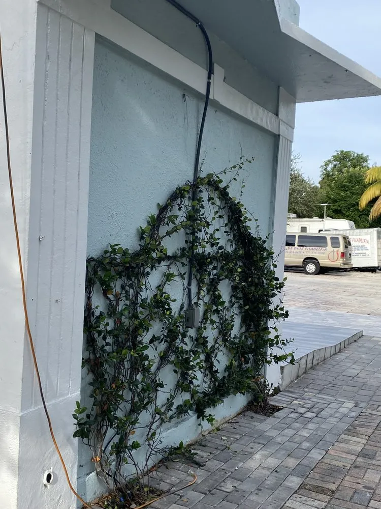 Top-rated landscaping services in Palm City, FL by Gonzalez & Perez Landscaping