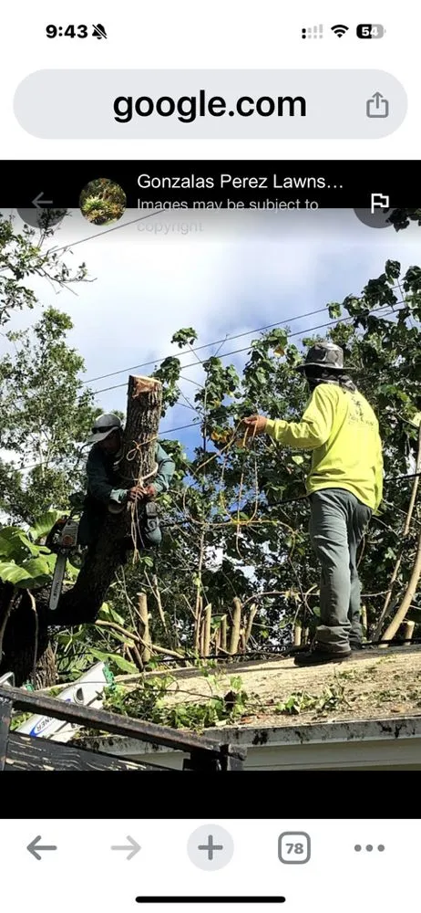 Professional lawn mowing service experts serving Palm City, FL - Gonzalez & Perez Landscaping