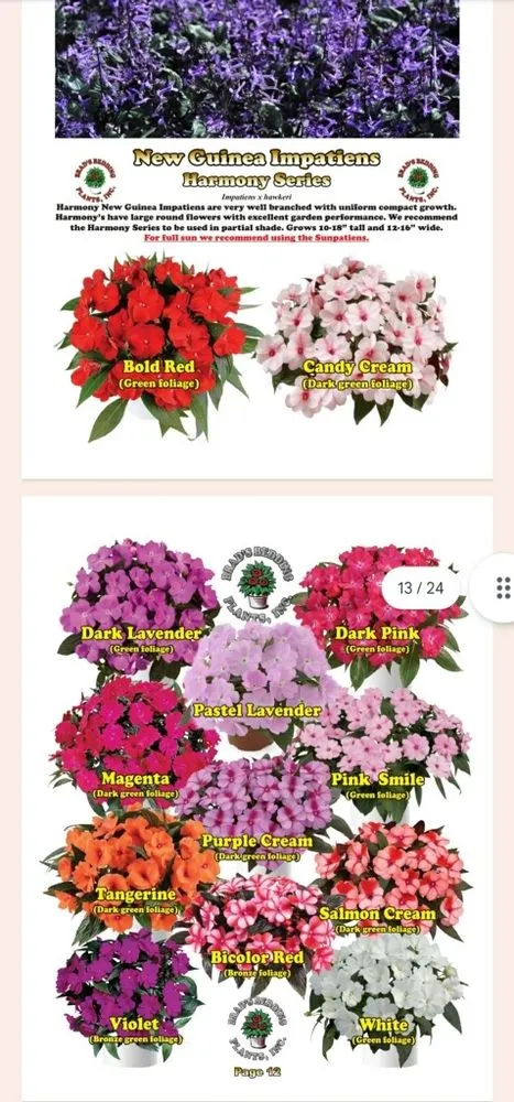 Custom residential landscaping in Palm City, FL by Gonzalez & Perez Landscaping