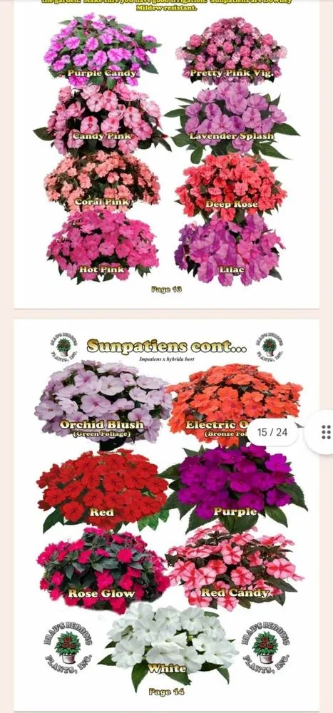 Reliable outdoor landscaping experts serving Palm City, FL - Gonzalez & Perez Landscaping