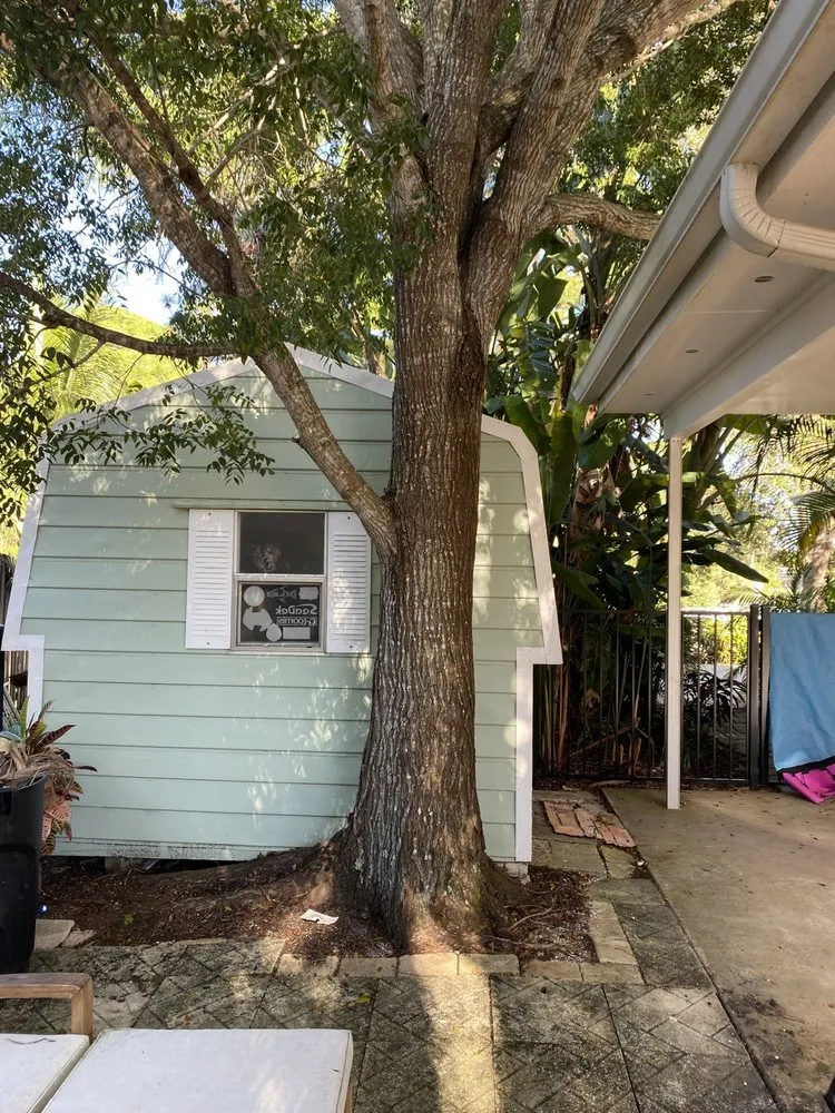 Trusted residential landscaping for beautiful yards in Palm City, FL by Gonzalez & Perez Landscaping