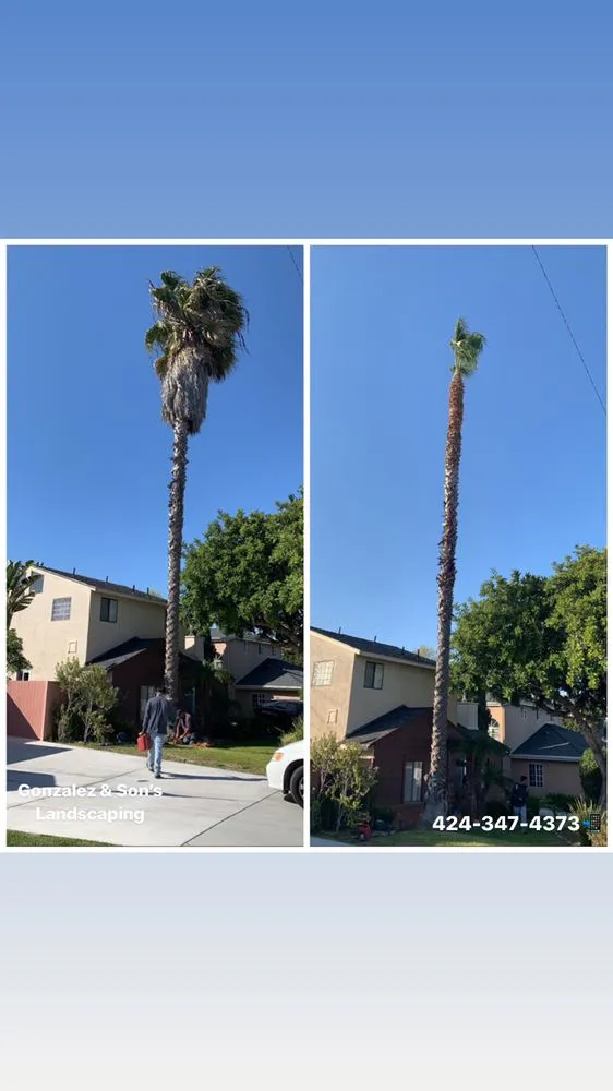 Professional residential landscaping in Torrance, CA - Gonzalez & Son’s Landscaping