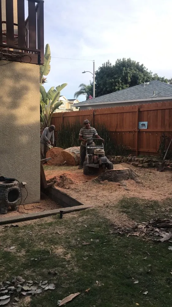 Reliable lawn care service experts serving Torrance, CA - Gonzalez & Son’s Landscaping