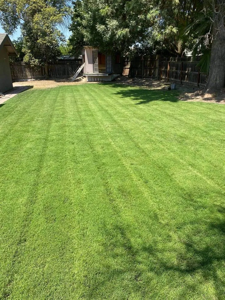 Custom yard maintenance in Visalia, CA - Gonzalez & Son's
