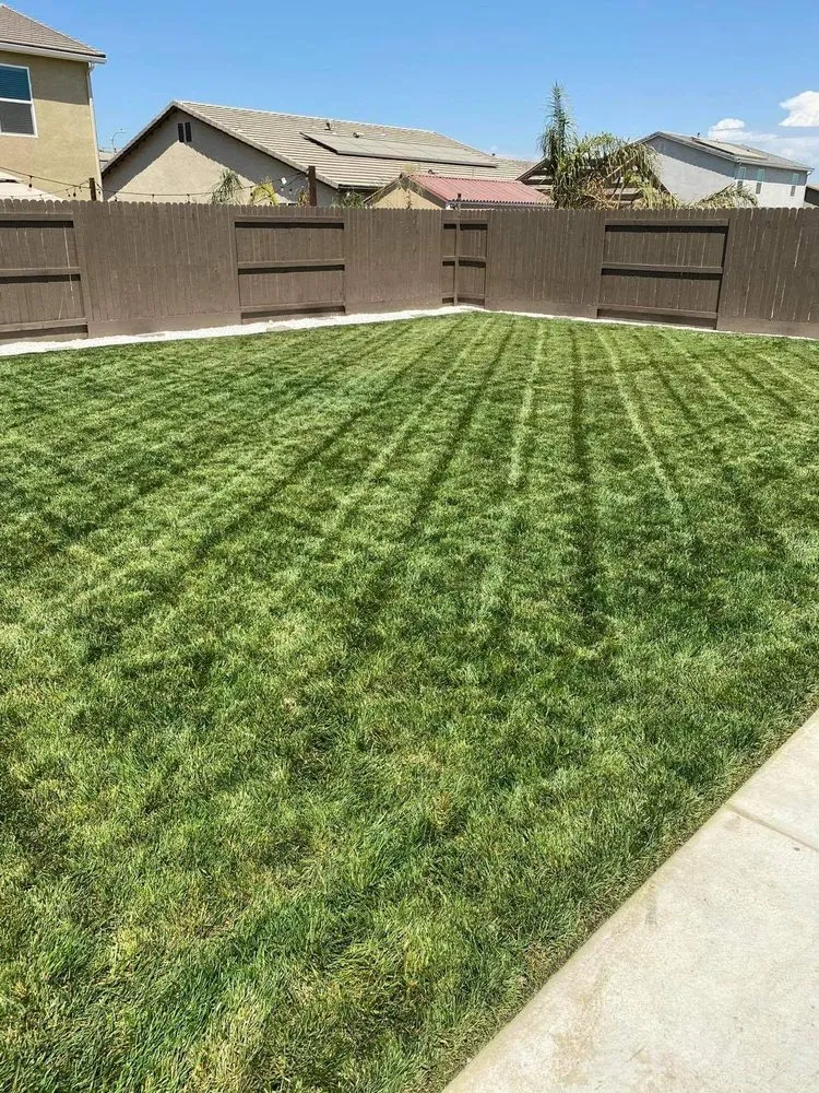 Professional landscape installation with custom design across Visalia, CA - Gonzalez & Son's