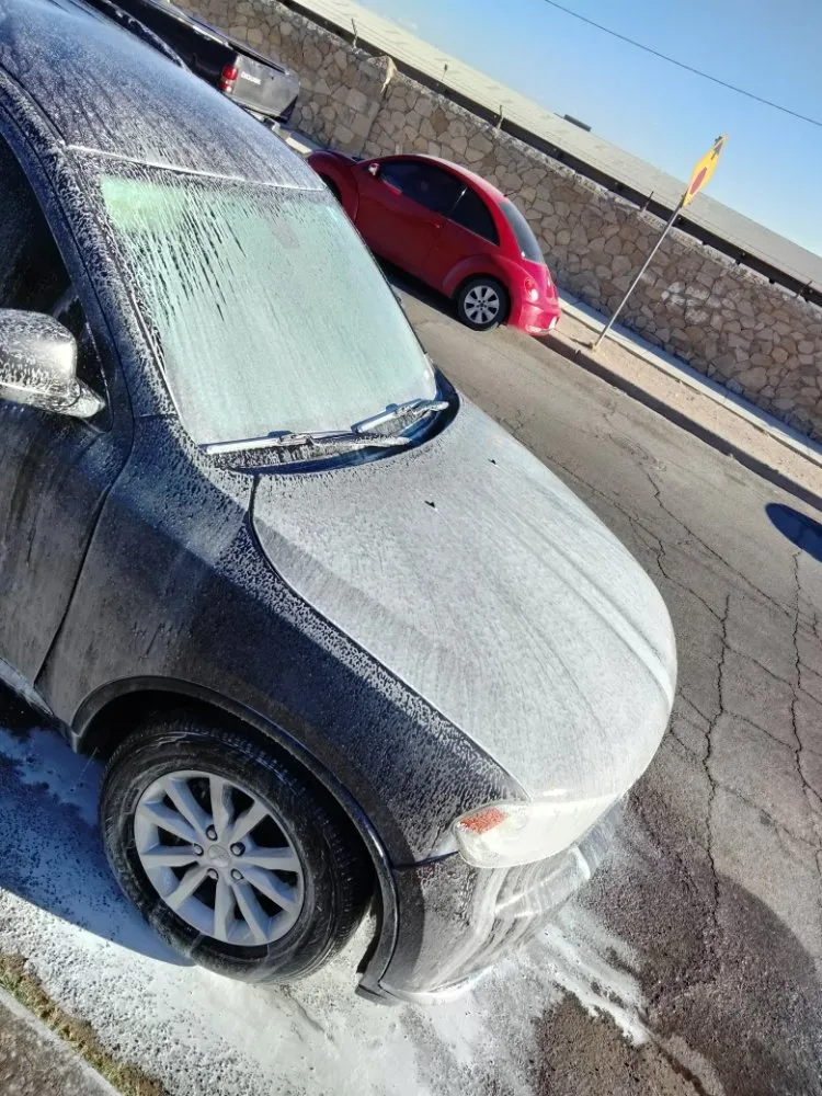 Affordable landscape installation experts serving Socorro, TX - Gonzalez Auto Mobile Detaling