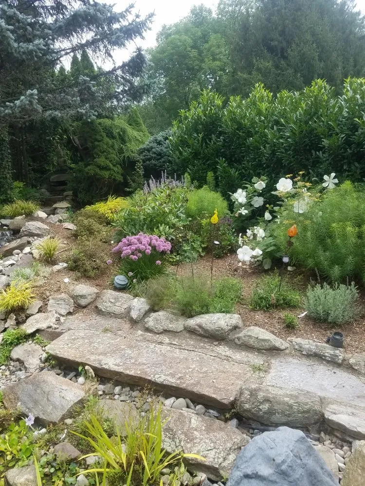 Professional lawn mowing service in Port Chester, NY - Gonzalez Brothers Contracting