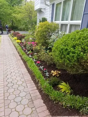 Gonzalez Brothers Contracting