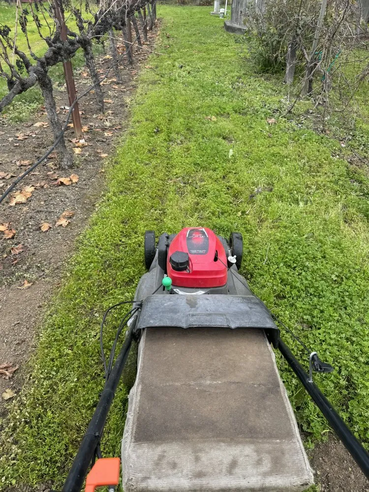 Trusted landscape installation in Fairfield, CA by Gonzalez Company