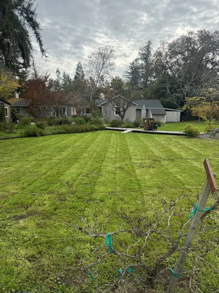 Trusted outdoor landscaping for beautiful yards across Fairfield, CA - Gonzalez Company