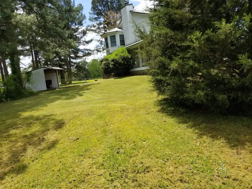 Professional lawn care service for year-round maintenance in Rockport, AR by Gonzalez Crewcut Lawn