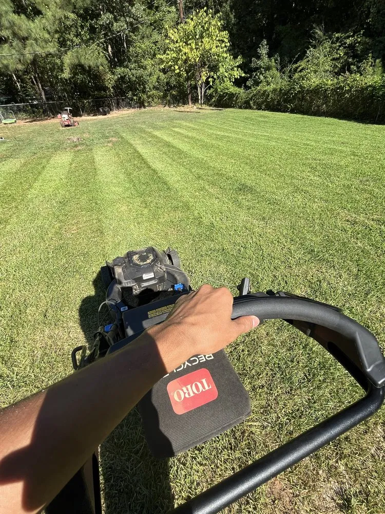 Top-rated residential landscaping for homes across Greenwood, SC - Gonzalez Cuts