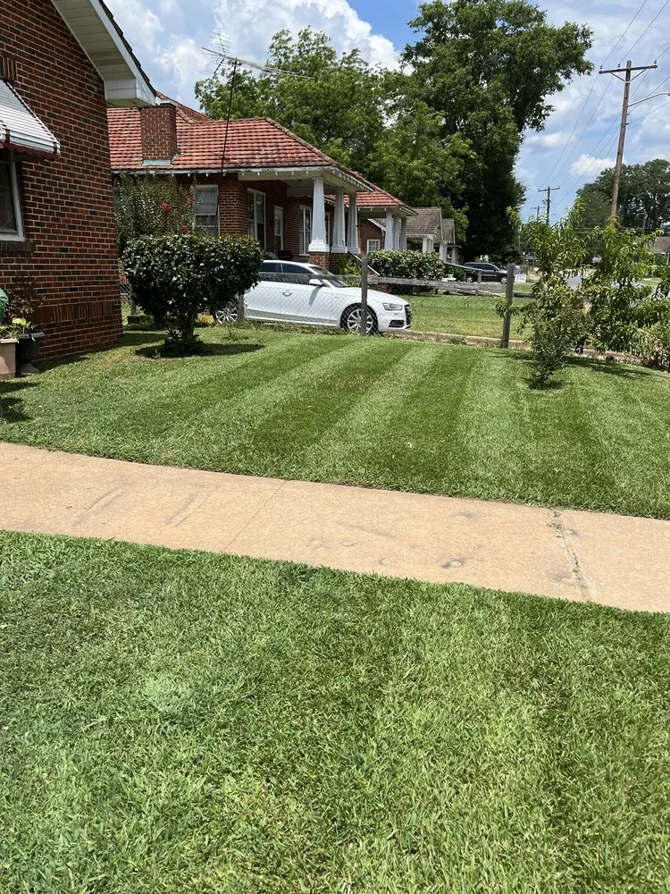 Top-rated yard cleanup service experts serving Greenwood, SC - Gonzalez Cuts