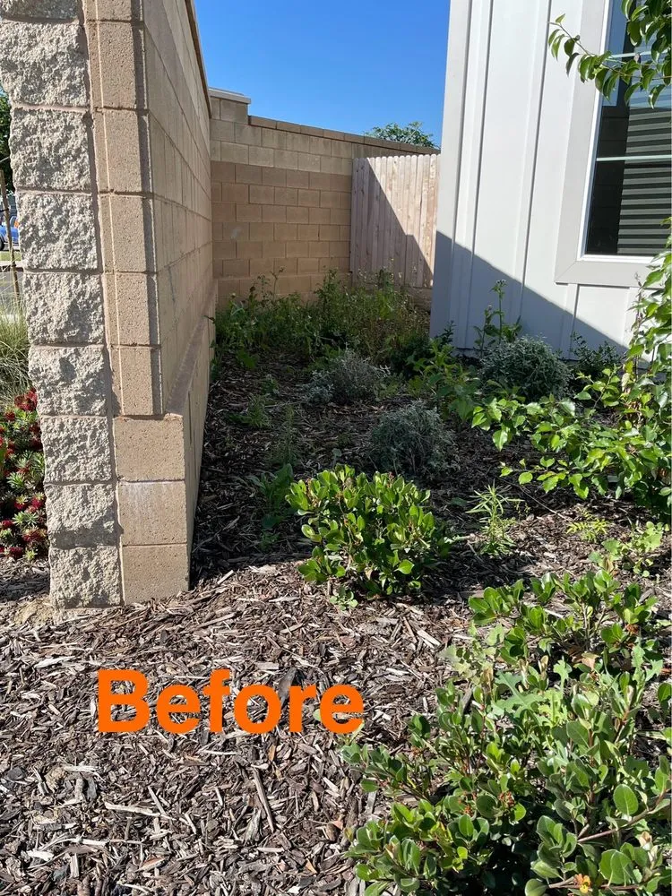 Professional lawn mowing service in Lemoore, CA - Gonzalez Exterior Services