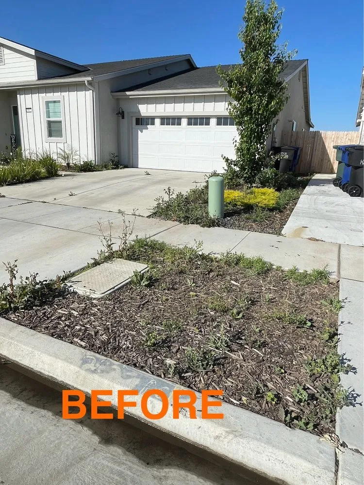 Affordable landscaping services in Lemoore, CA by Gonzalez Exterior Services