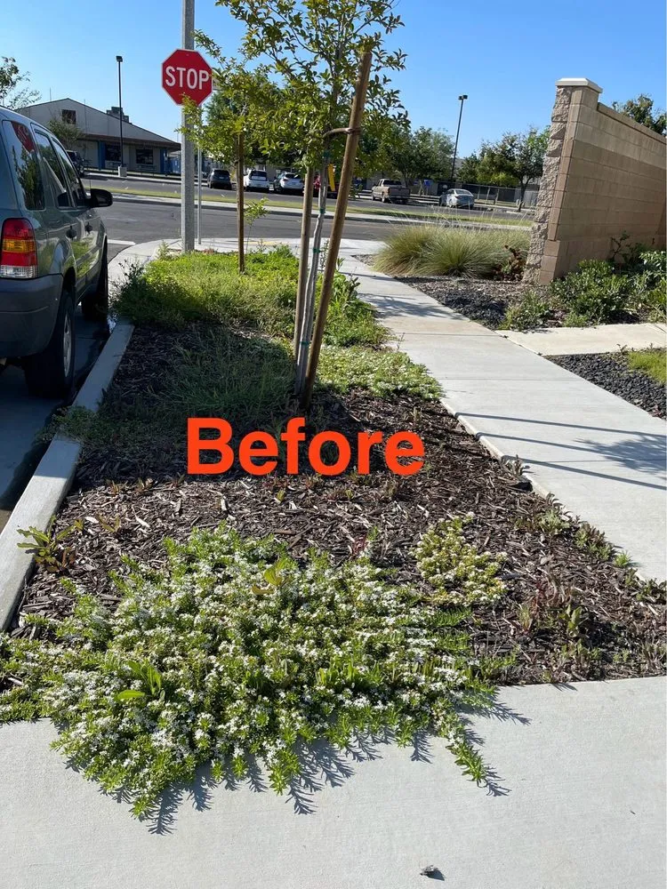 Custom yard maintenance for year-round maintenance in Lemoore, CA by Gonzalez Exterior Services