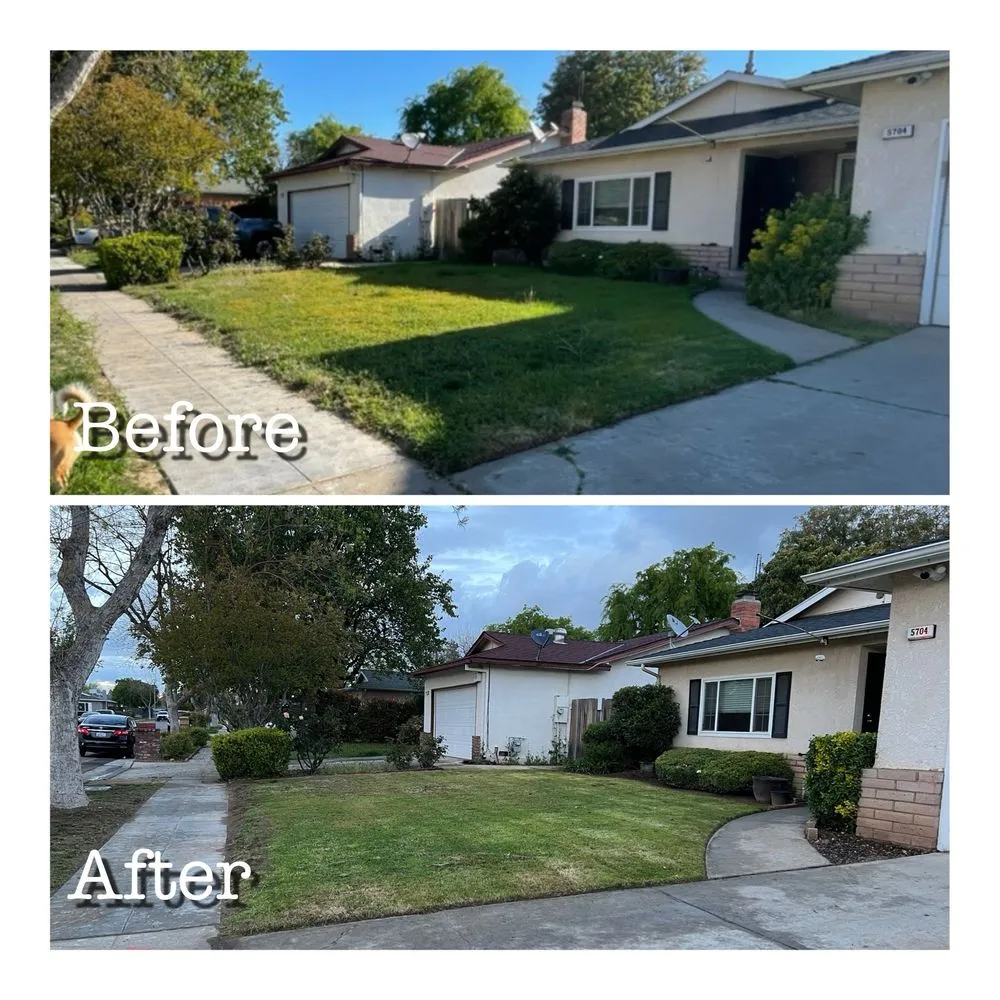 Local residential landscaping for residential properties in Lemoore, CA by Gonzalez Exterior Services