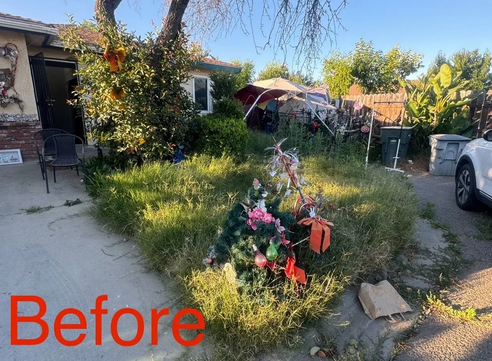 Local lawn care service experts serving Lemoore, CA - Gonzalez Exterior Services