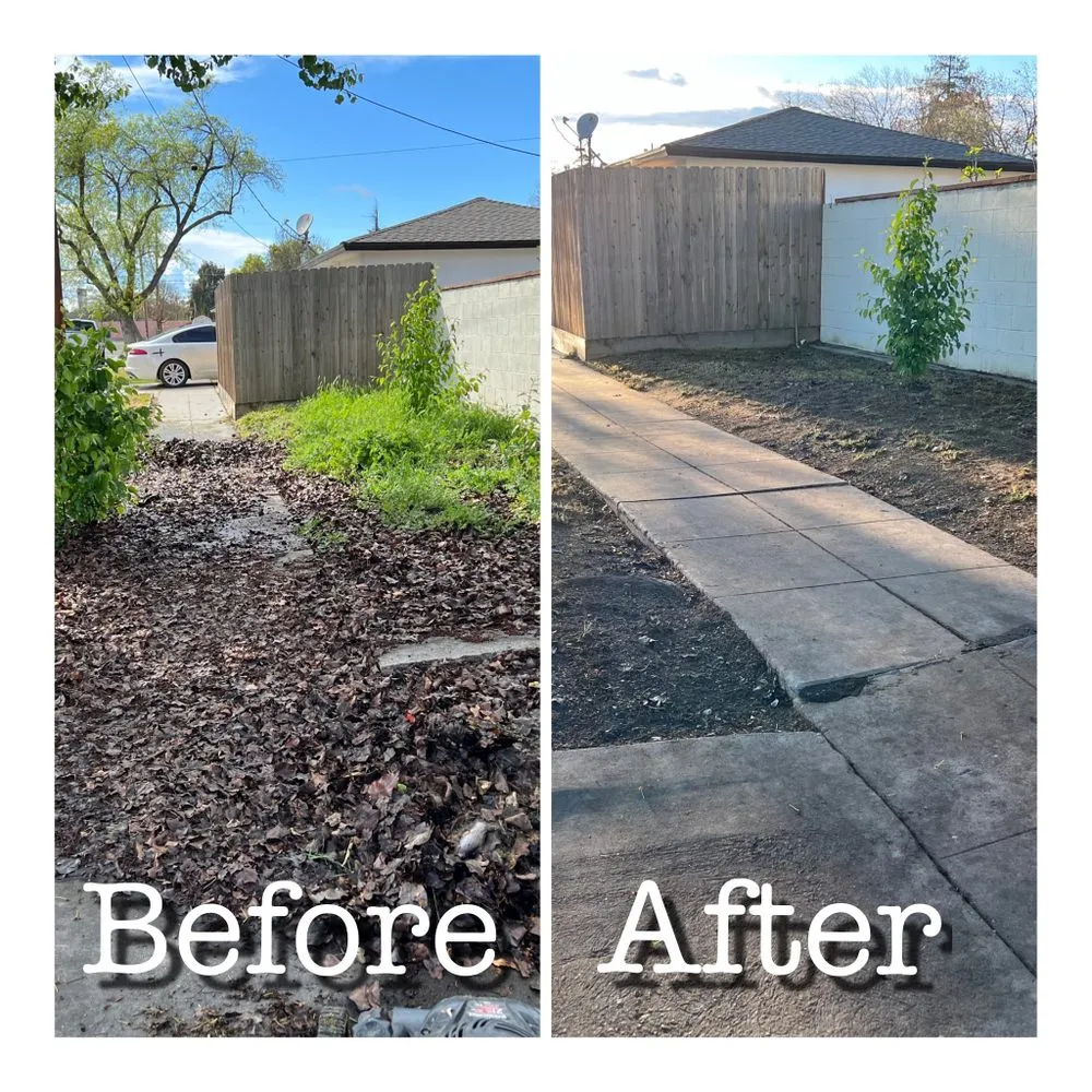 Professional landscape design with custom design in Lemoore, CA by Gonzalez Exterior Services