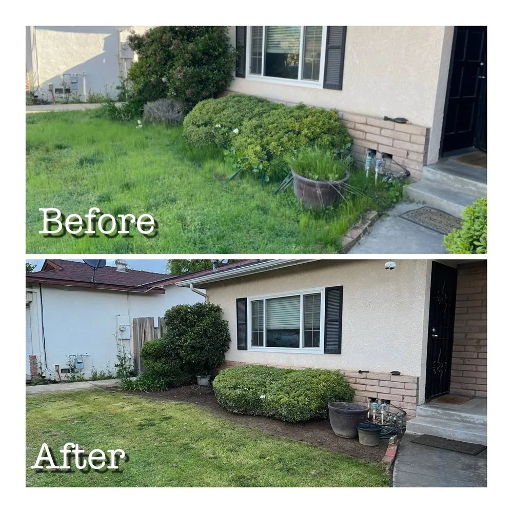 Top-rated landscape installation in Lemoore, CA by Gonzalez Exterior Services
