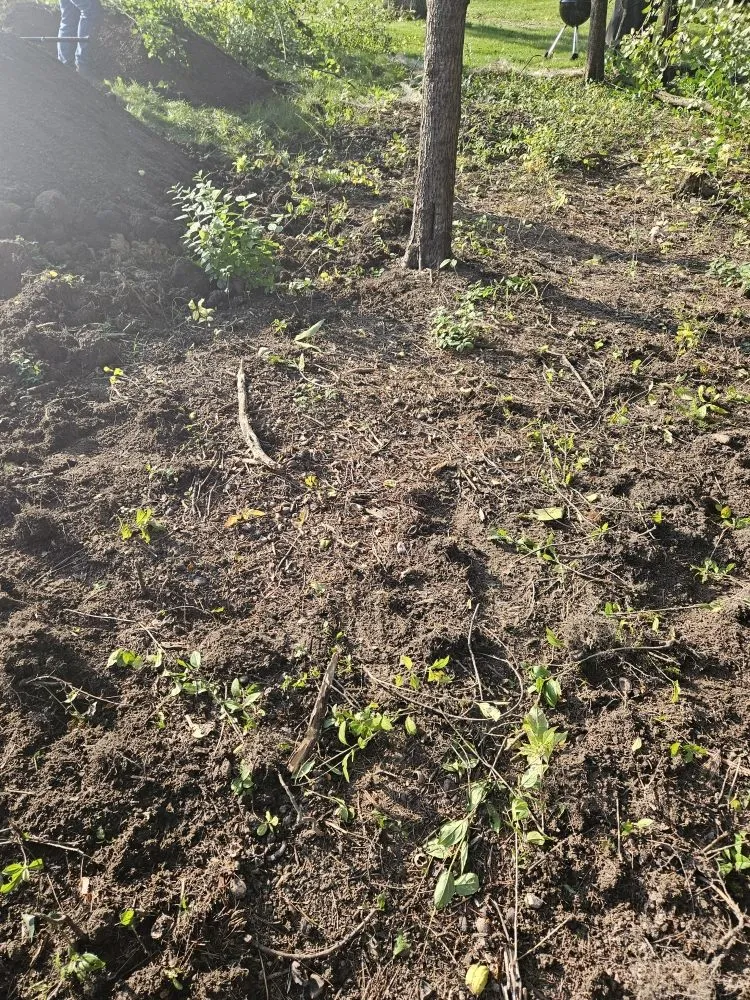 Expert lawn care service with custom design in Mundelein, IL by Gonzalez F Landscaping