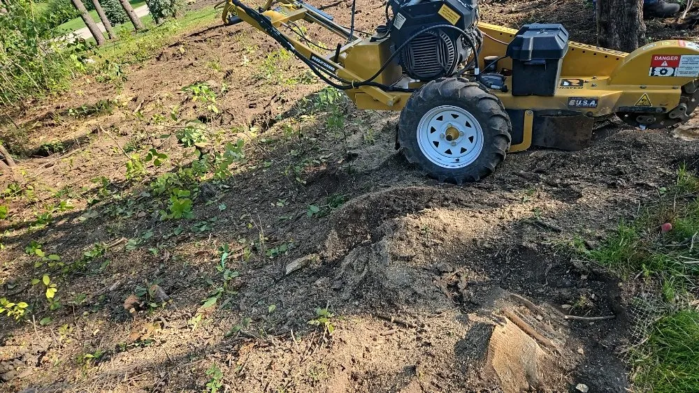 Local yard cleanup service experts serving Mundelein, IL - Gonzalez F Landscaping