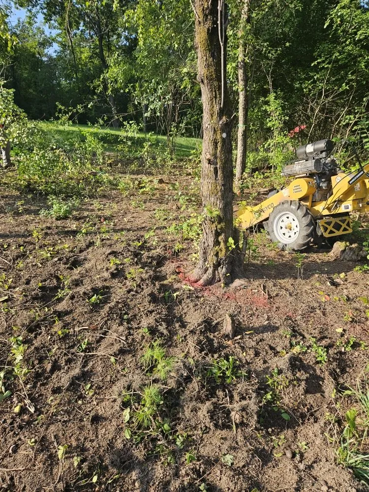 Affordable landscaping services in Mundelein, IL - Gonzalez F Landscaping