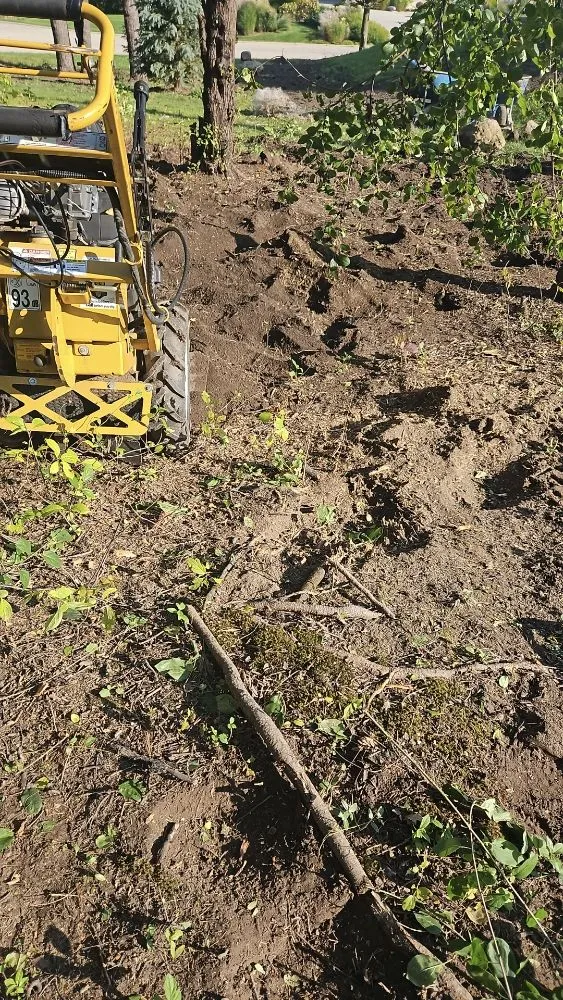 Affordable outdoor landscaping for beautiful yards across Mundelein, IL - Gonzalez F Landscaping