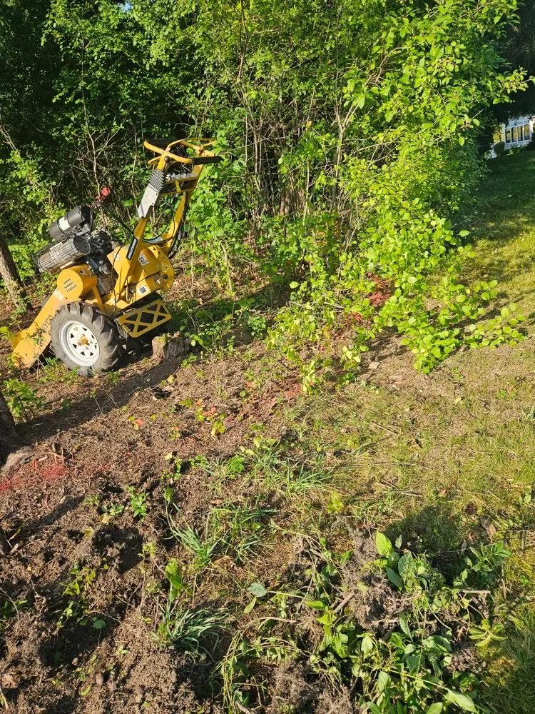 Local residential landscaping experts serving Mundelein, IL - Gonzalez F Landscaping