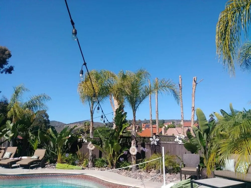 Professional landscaping services in Escondido, CA by Gonzalez Garden & Landscape