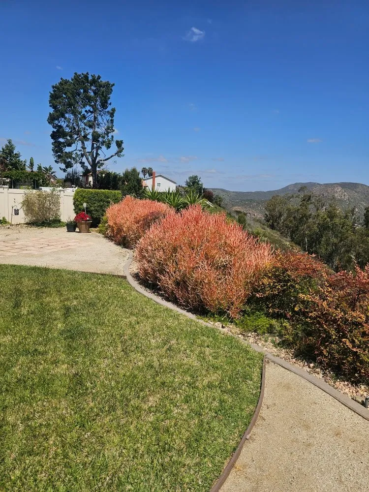 Affordable yard maintenance in Escondido, CA by Gonzalez Garden & Landscape