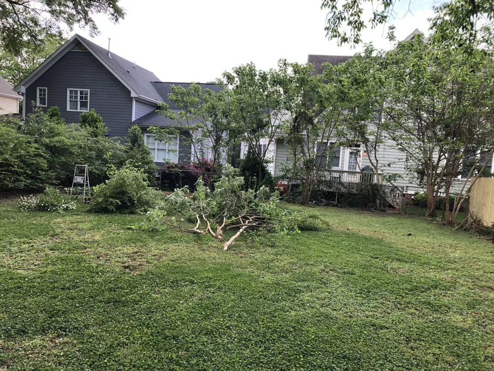 Professional lawn care service for outdoor upgrades across Knightdale, NC - Gonzalez Garden and Landscape