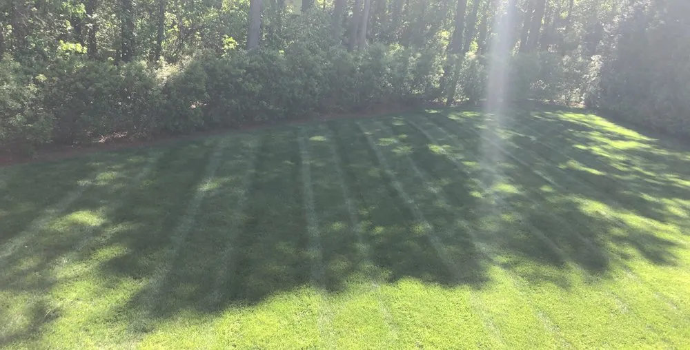 Local yard cleanup service for beautiful yards in Knightdale, NC by Gonzalez Garden and Landscape