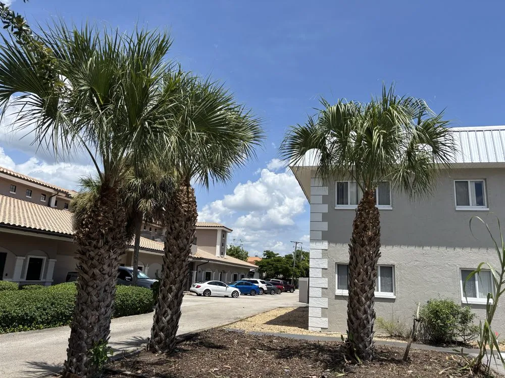 Trusted yard cleanup service experts serving Lehigh Acres, FL - Gonzalez Gardening and Landscaping