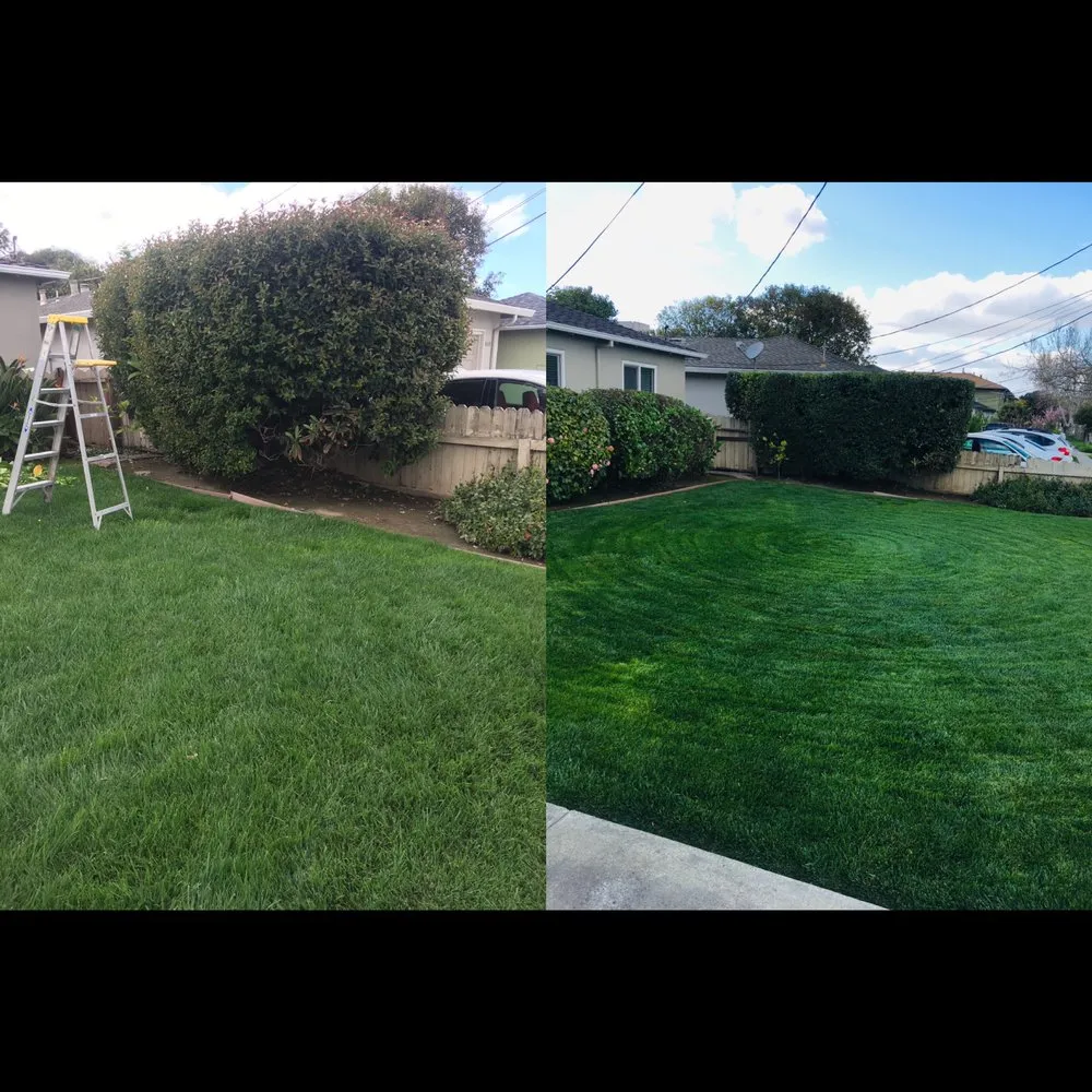 Professional landscape installation experts serving Sunnyvale, CA - Gonzalez Gardening Bay Area