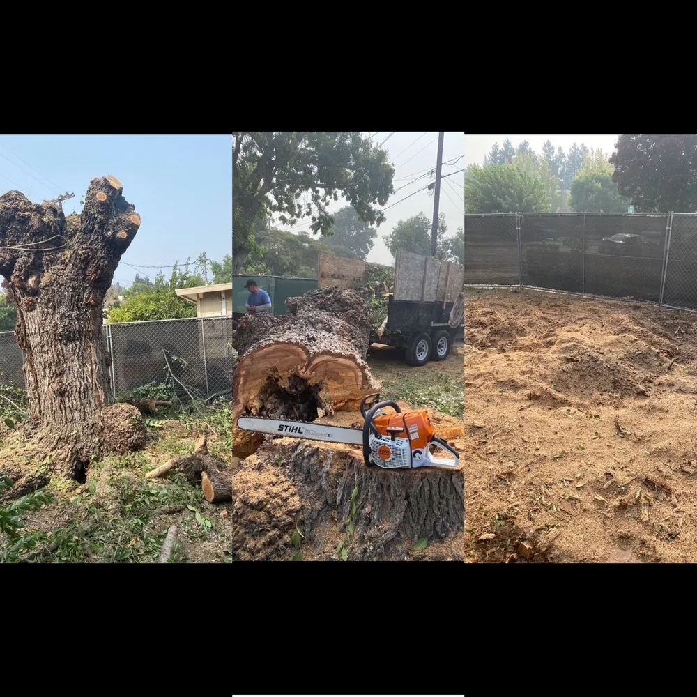 Affordable landscape installation for year-round maintenance across Sunnyvale, CA - Gonzalez Gardening Bay Area