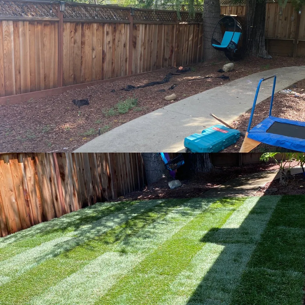 Professional landscape installation for outdoor upgrades in Sunnyvale, CA by Gonzalez Gardening Bay Area
