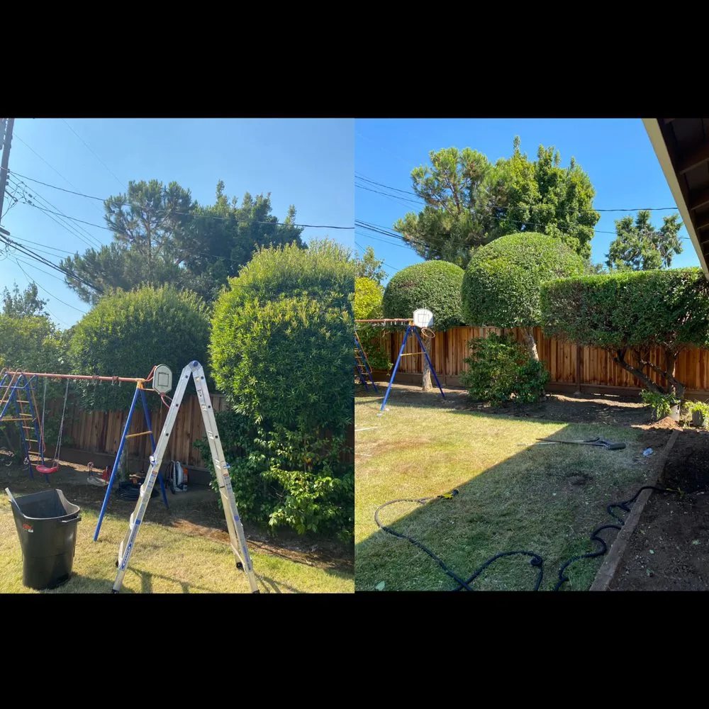 Professional lawn mowing service for homes in Sunnyvale, CA by Gonzalez Gardening Bay Area