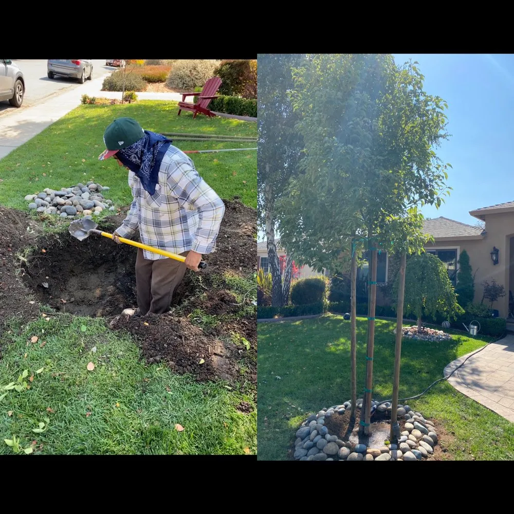 Custom garden landscaping in Sunnyvale, CA - Gonzalez Gardening Bay Area