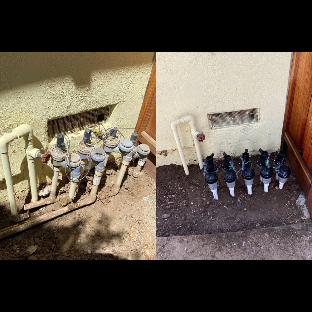 Top-rated yard maintenance in Sunnyvale, CA by Gonzalez Gardening Bay Area