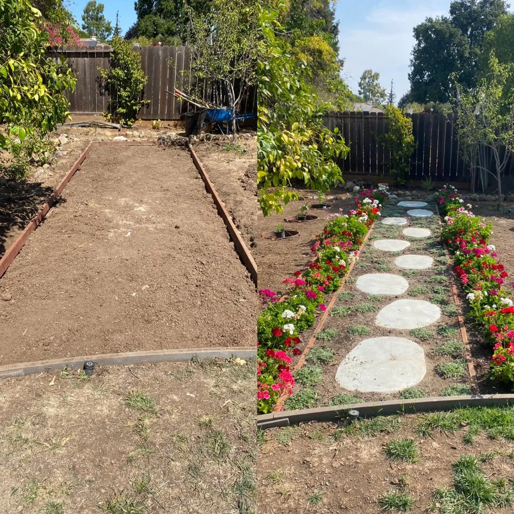Top-rated residential landscaping in Sunnyvale, CA by Gonzalez Gardening Bay Area