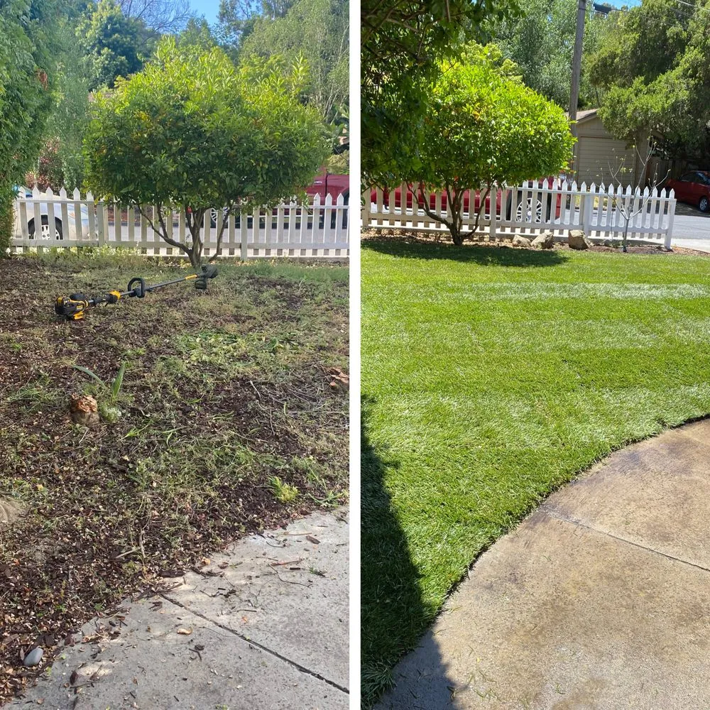 Trusted lawn care service in Sunnyvale, CA - Gonzalez Gardening Bay Area